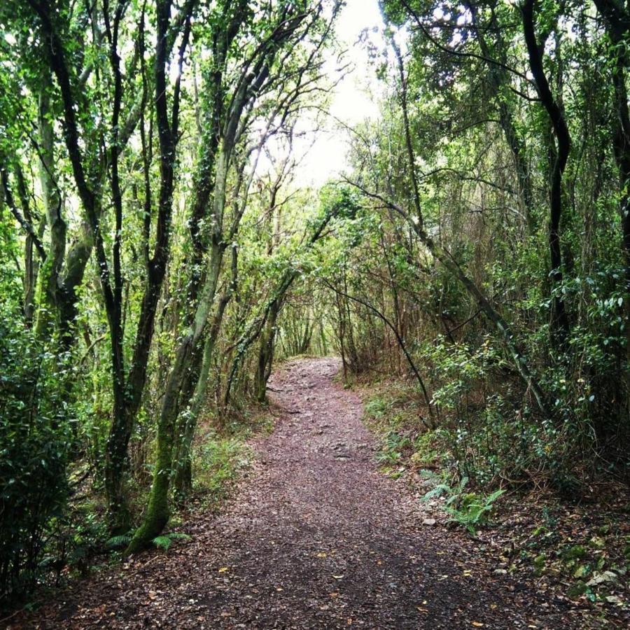 Andamur San Román Esterno foto
