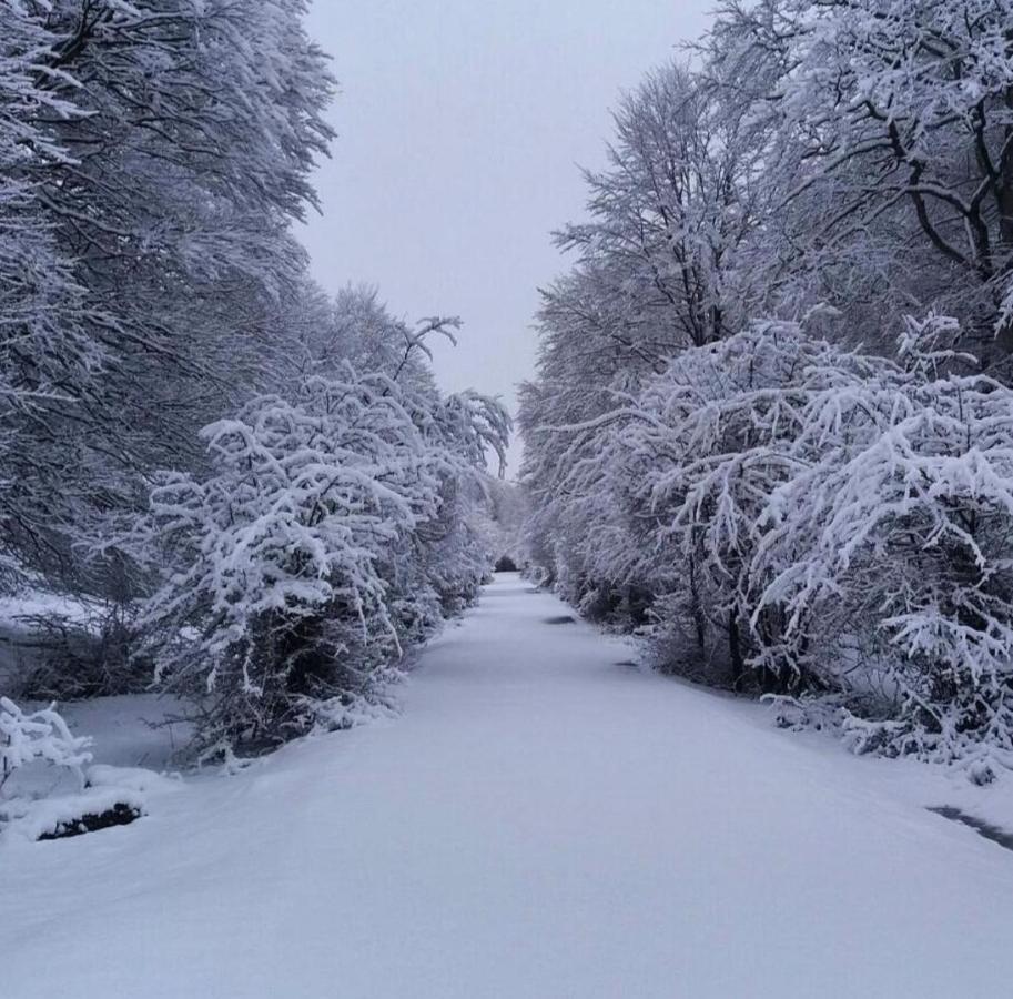 Andamur San Román Esterno foto